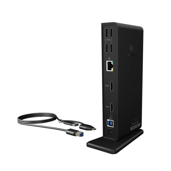 RaidSonic ICY BOX IB-DK2251AC Docking Station (60638)