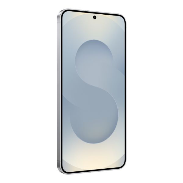 Samsung Galaxy S25 SM-S931B/DS 15,8 cm (6.2") Dual SIM 5G USB Type-C 12 GB 256 GB 4000 mAh Zilver (SM-S931BZSGEEB)