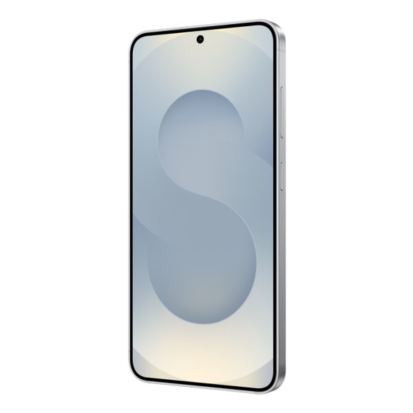 Samsung Galaxy S25 SM-S931B/DS 15,8 cm (6.2") Dual SIM 5G USB Type-C 12 GB 256 GB 4000 mAh Zilver (SM-S931BZSGEEB)