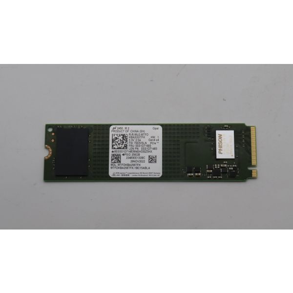 Lenovo 256GB M.2 PCIe NVMe (5SS1D71750)