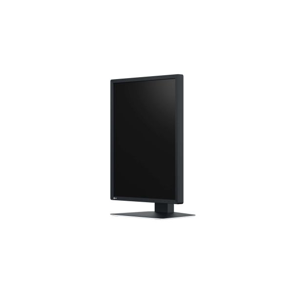EIZO RadiForce MX217-SB computer monitor 53,3 cm (21") 1200 x 1600 Pixels UXGA LCD Zwart (MX217-SB) EIZO RadiForce MX217-SB computer monitor 53,3 cm (21") 1200 x 1600 Pixels UXGA LCD Zwart (MX217-SB)