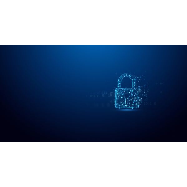 Kingston Technology 3,84TB DC3000ME U.2 PCIe 5.0 NVMe TCG Opal Enterprise SSD