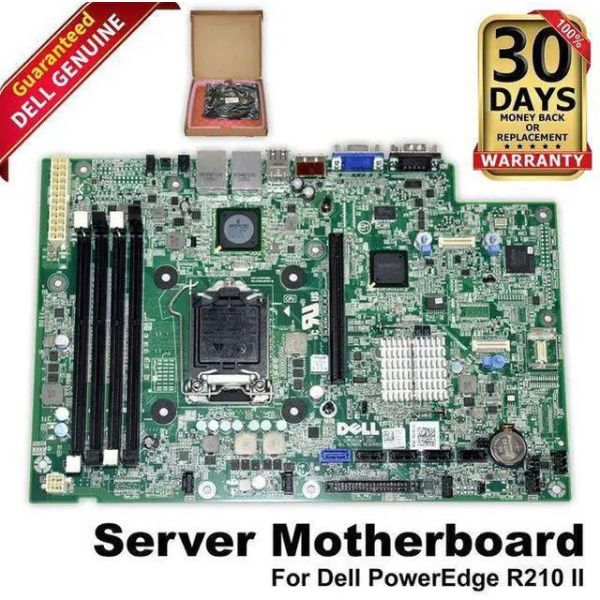 Dell Intel Xeon Gold 20-Core Processor (0D2C2K-RFB)