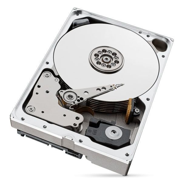 Seagate IronWolf Pro ST10000NT001 interne harde schijf 3.5" 10 TB (ST10000NT001)