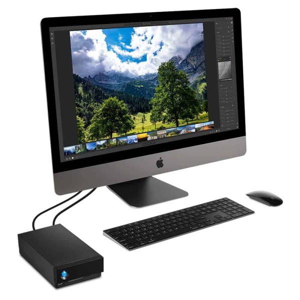 LaCie 1big Dock externe harde schijf 8000 GB Zwart (STHS8000800)