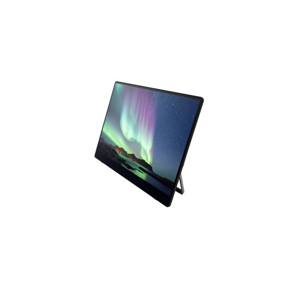 Ricoh Draagbare monitor 150BW (514910)