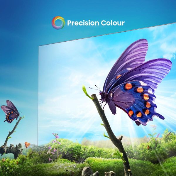 Hisense 65A6N 165,1 cm (65") 4K Ultra HD Smart TV Wifi Zwart 300 cd/m² (65A6N)