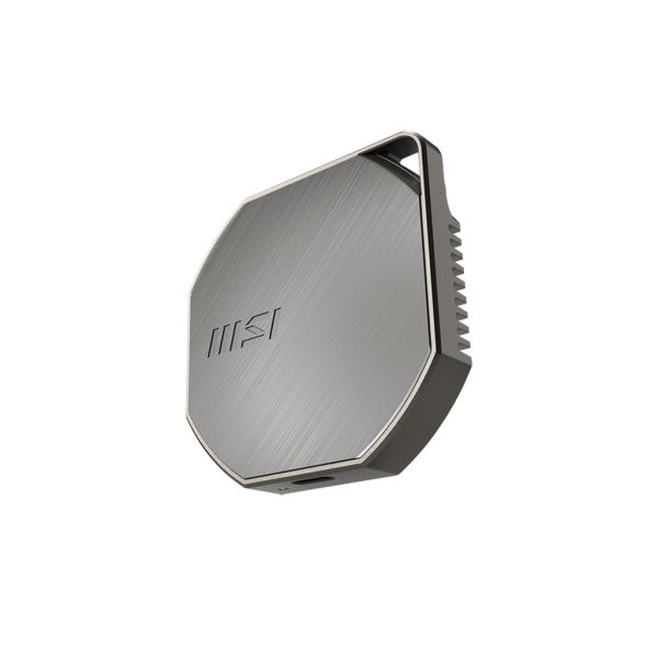 MSI DATAMAG 40GBPS 1TB externe solide-state drive USB Type-C USB 3.2 Gen 2x2 Zilver (S78-440L3B0-P83)