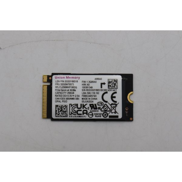Lenovo 256GB M.2 2242 (5SS0W79558)