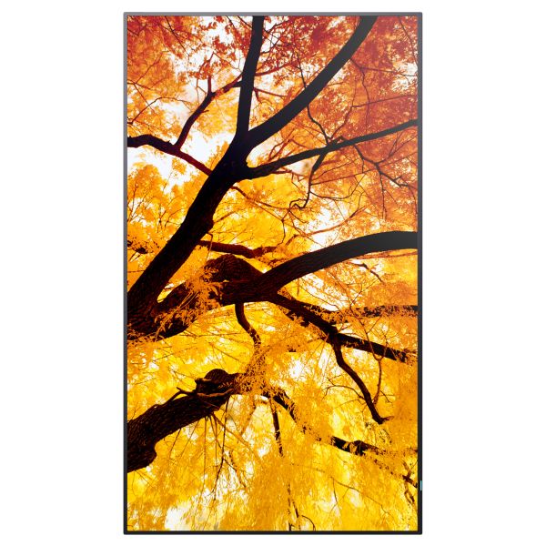 Sharp MultiSync M552 Digitale signage flatscreen 139,7 cm (55") LCD 550 cd/m² 4K Ultra HD Zwart Touchscreen (PNM552)
