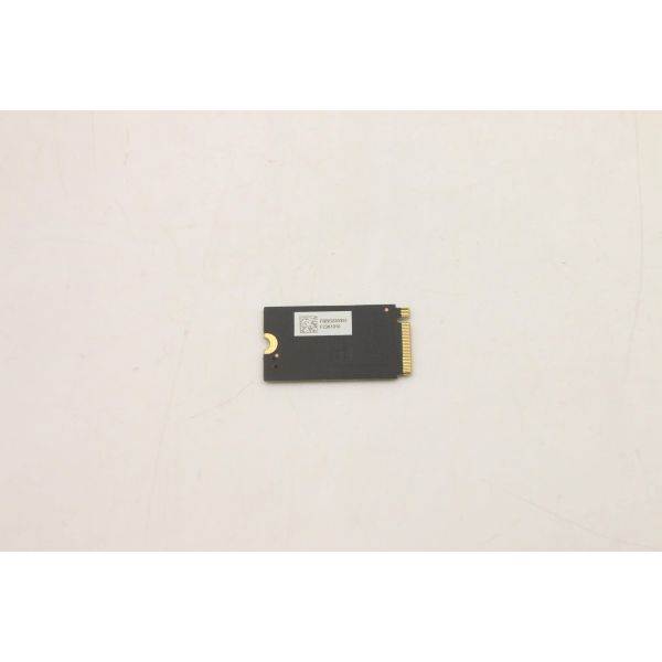 Lenovo SSD 256GB M.2 2242 PCIe4x4 OPAL UMIS (5SS0W79505)