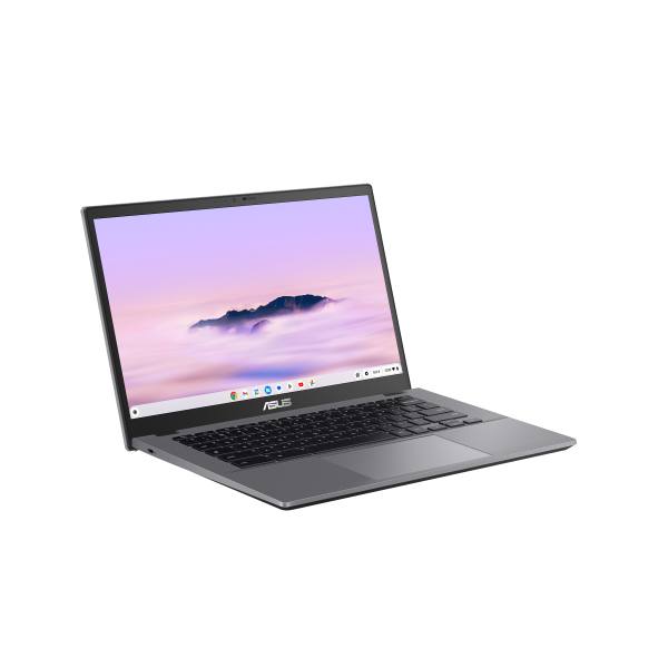 ASUS Chromebook met Intel Core 3 Processor 100U (90NX07P2-M021D0)