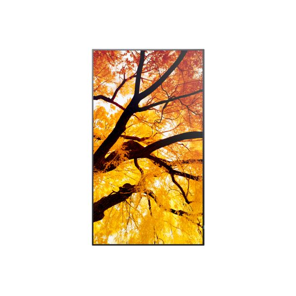 Sharp MultiSync M432 Digitale signage flatscreen 108 cm (42.5") LCD 550 cd/m² 4K Ultra HD Zwart (60006053)