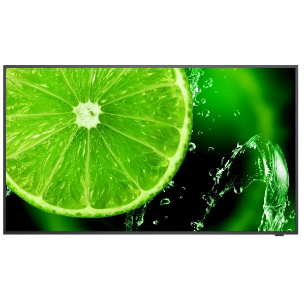 NEC MultiSync E498 124,5 cm (49") IPS 350 cd/m² 4K Ultra HD Zwart 16/7 (L50E498)