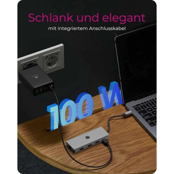 RaidSonic ICY BOX IB-DK4012-CPD - dockingstation (61058)