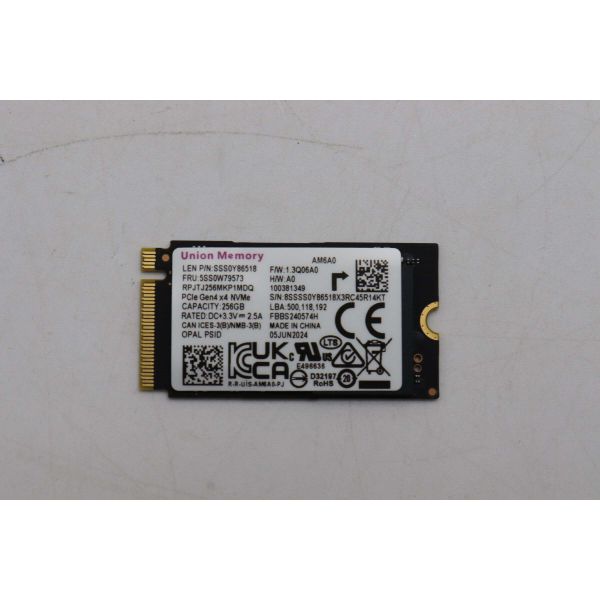 Lenovo SSD MIC 2650 256G 2242 PCIe (5SS1Q43824) (5SS1Q43824)