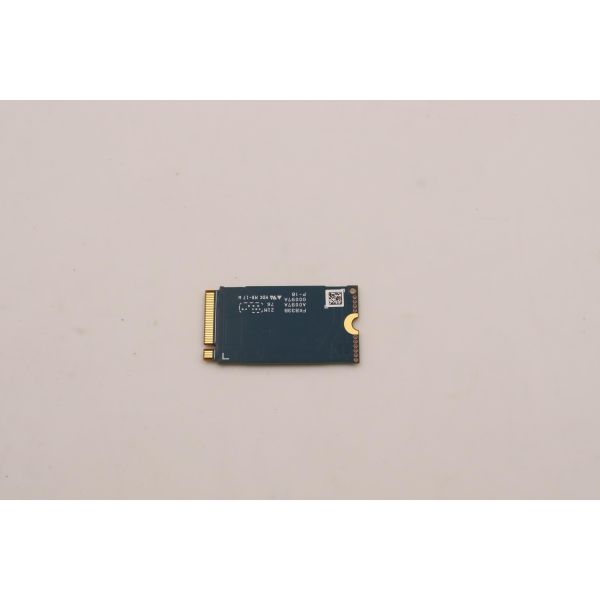 Lenovo 256GB M.2 2242 PCIe 4.0 NVMe (5SS1F29000) (5SS1F29000)