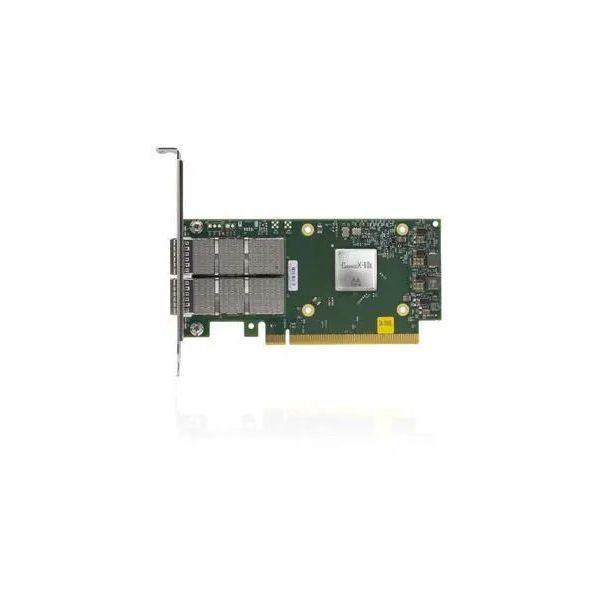 Synology NAS Netzwerkkarte P2100G 100GbE Dual-Port (P2100G)