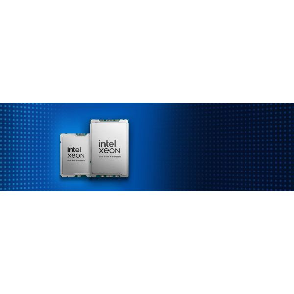 Intel Xeon 12-Core Processor (C8TMF-RFB)
