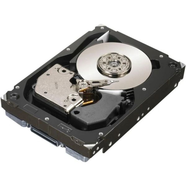 HP 300GB,3.5in 15K DP SAS,6G NHP (RP001227868)