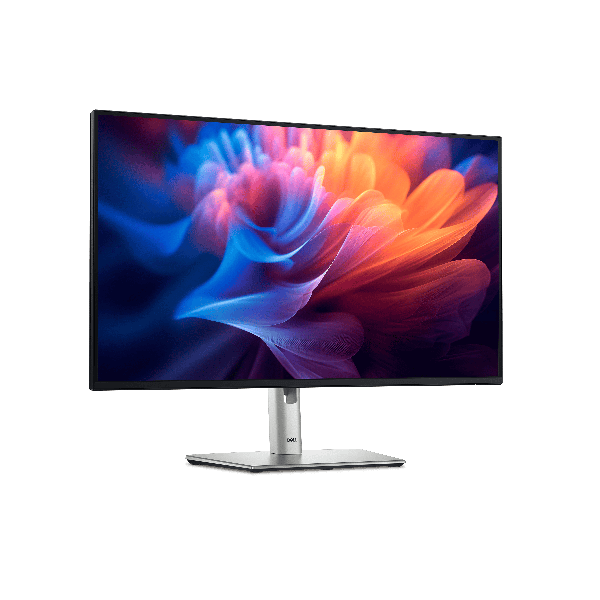 Dell P Series P2425E Computer (210-BMFJ)