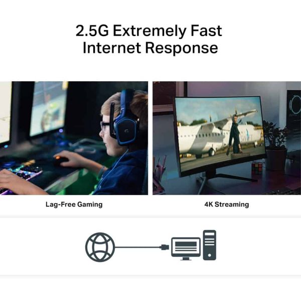 TP-Link TX201 netwerkkaart Intern Ethernet 2500 Mbit/s (TX201)