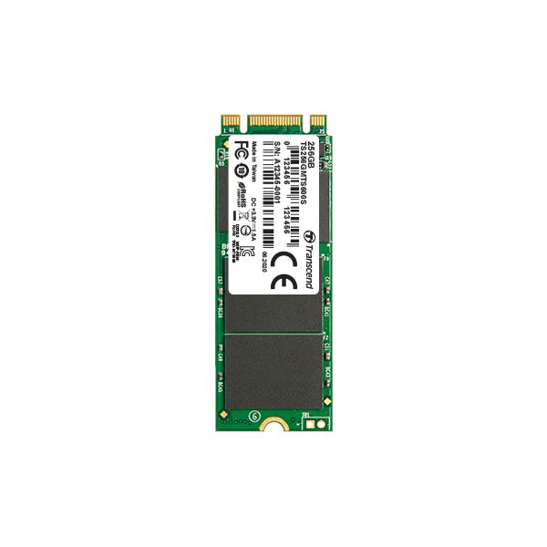 Transcend M.2 SSD 600S 256 GB SATA III (TS256GMTS600S)