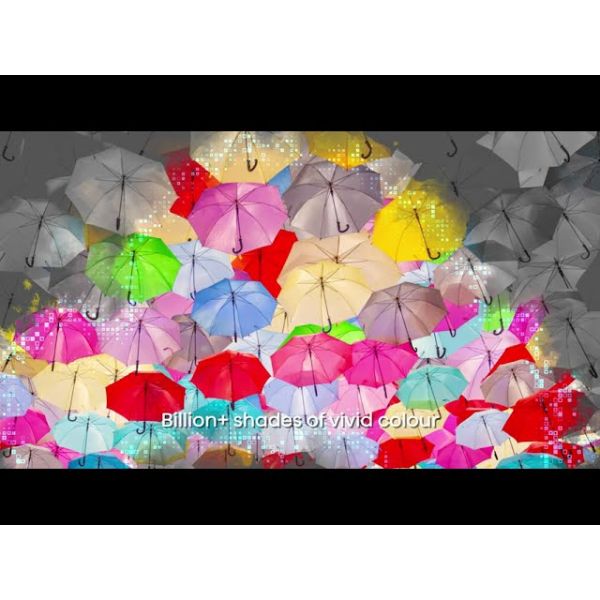 Hisense 65E77Q 165,1 cm (65") 4K Ultra HD Smart TV Wifi Zwart (20016403)