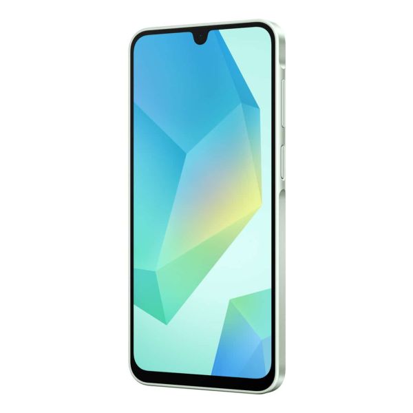 Samsung Galaxy A16 (SM-A165FLGBEUB)