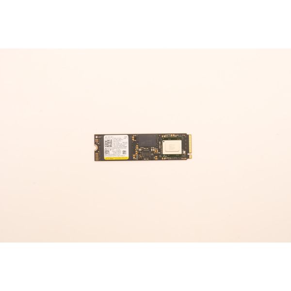 Lenovo SSD M.2 PCIe NVMe FRUM.2-2280 (5SS1D71702) (5SS1D71702)