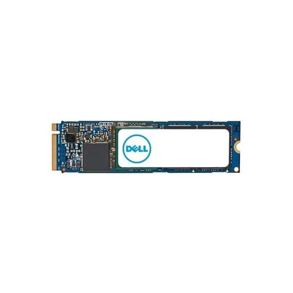 Dell G14 400-BFEK 3.84TB 1 DWPD PCIe Gen 4.0 x4 8GB/s Read-Intensive 3D TLC U.2 NVMe 2.5in Solid State Drive (0XHYGF_DELLG14_NB_9)