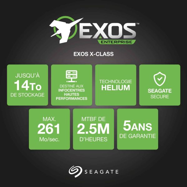 Seagate Enterprise ST12000NM0037 interne harde schijf 12 TB 7200 RPM 256 MB 3.5" SAS (ST12000NM0037)
