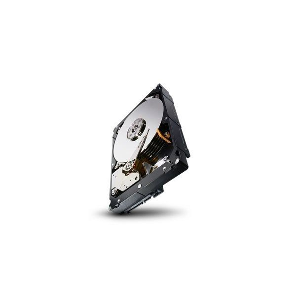 Seagate Constellation ST2000NM0034 interne harde schijf 2 TB 7200 RPM 128 MB 3.5" SAS (ST2000NM0034)
