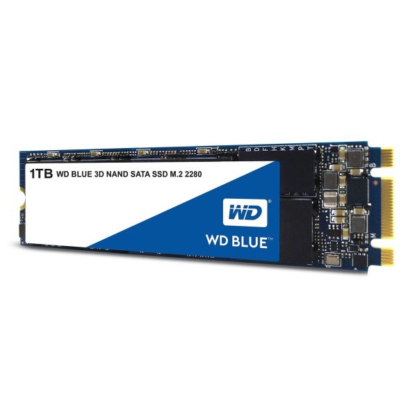 Western Digital WD Blue 1TB SATA SSD M.2 2280 (WDS100T2B0B)
