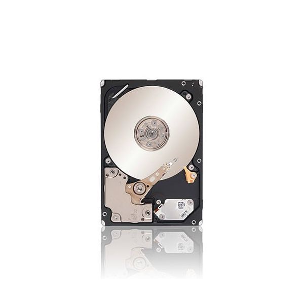 Seagate Savvio 10K.6 300GB interne harde schijf 10000 RPM 64 MB 2.5" SAS (ST300MM0006)