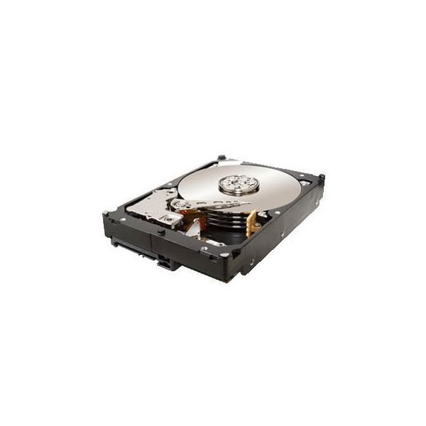 Seagate Constellation 2000GB HDD interne harde schijf 2 TB 7200 RPM 64 MB SATA II (ST32000644NS)