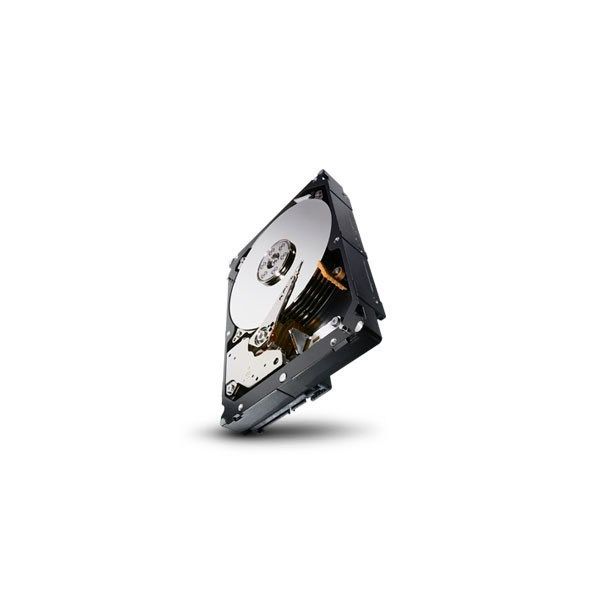 Seagate Constellation 2TB SAS 3.5" interne harde schijf 7200 RPM 64 MB 3.5" (ST32000645SS)