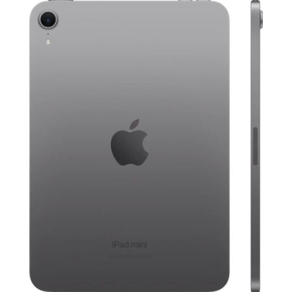 Apple iPad Mini Wi-Fi 256GB Space Gray (MXNA3KN/A)