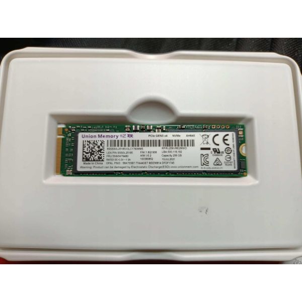 Lenovo 256GB M.2 2280 PCIe 3.0x4 (5SS0W79480)