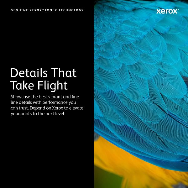 Xerox 106R03739 tonercartridge 1 stuk(s) Origineel Magenta (106R03739)