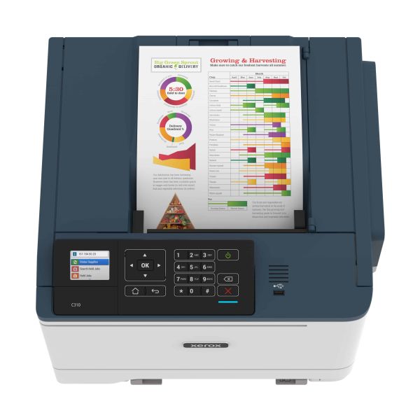 Xerox C310 A4 33 ppm draadloze dubbelzijdige printer PS3 PCL5e6/6 2 laden totaal 251 vel (C310V_DNI)