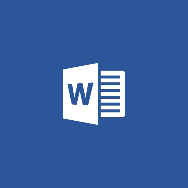 Microsoft Word Licentie (059-05142)