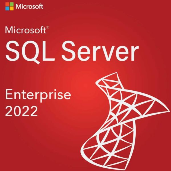 MicrosoftSQLServerEnterpriseEdition Sngl SoftwareAssurance Charity OLV 1LicenseNoLevel AdditionalProduct 1Year Acquiredyear2 (810-09568)