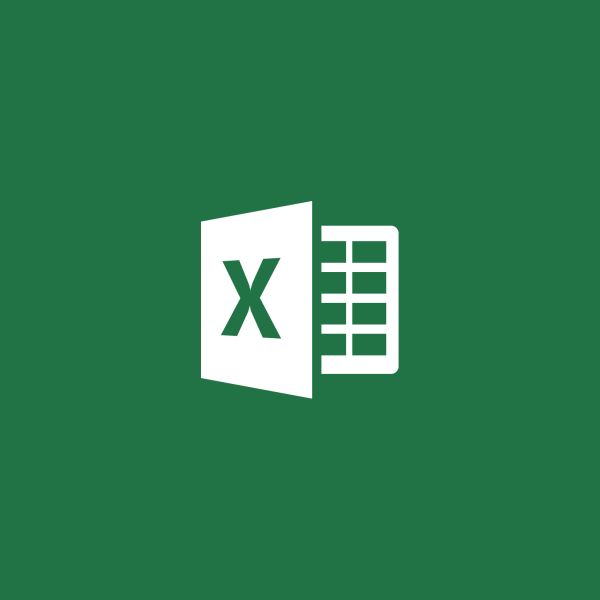 Microsoft Excel voor (D46-00492)