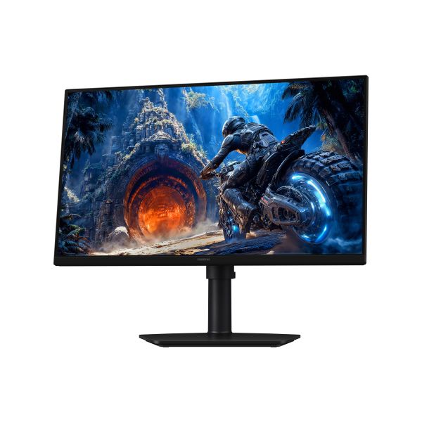 Samsung 25" Odyssey G40H FHD 300Hz Gaming Monitor (LS25HG402EUXEN)