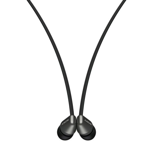 Sony WI-C310 Draadloze In-Ear Koptelefoon met Microfoon (WI-C310)