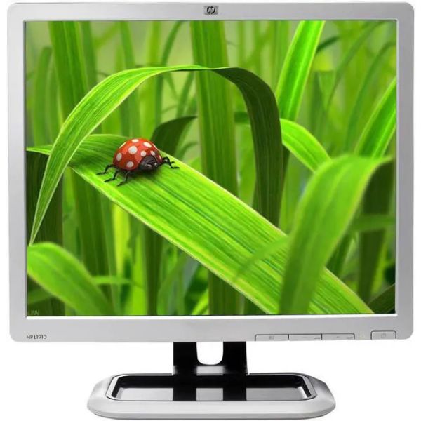 HP L1910 19 inch LCD Monitor (455992-001)