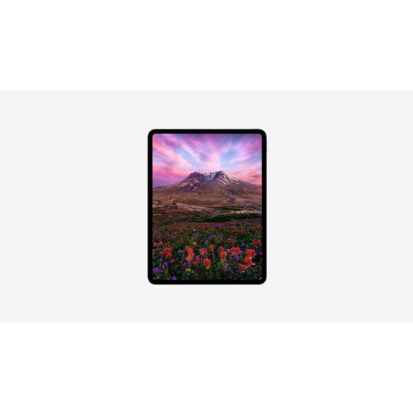 APPLE ACE iPad Pro 12.9 36M T3+ (SAHN2ZM/A)