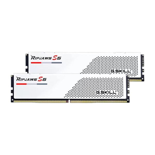 G.Skill DDR5 96GB PC 5200 CL40 G.Skill KIT (2x48GB) 96-RS5W (F5-5200J4040A48GX2-RS5W)