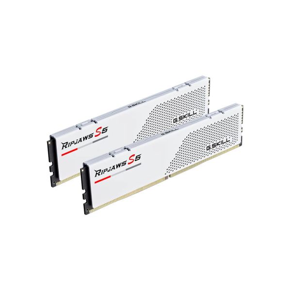 G.Skill DDR5 96GB PC 6000 CL30 G.Skill KIT (2x48GB) 96-RS5W (F5-6000J3036F48GX2-RS5W)